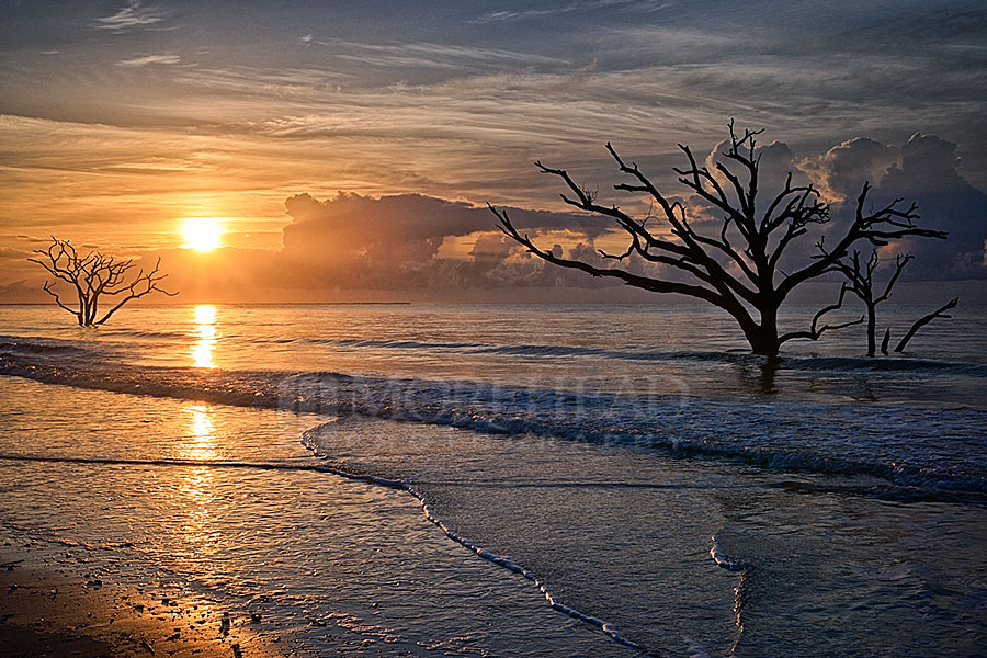 Botany Bay Sunrise