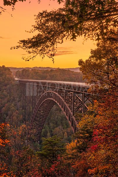 Golden Arch