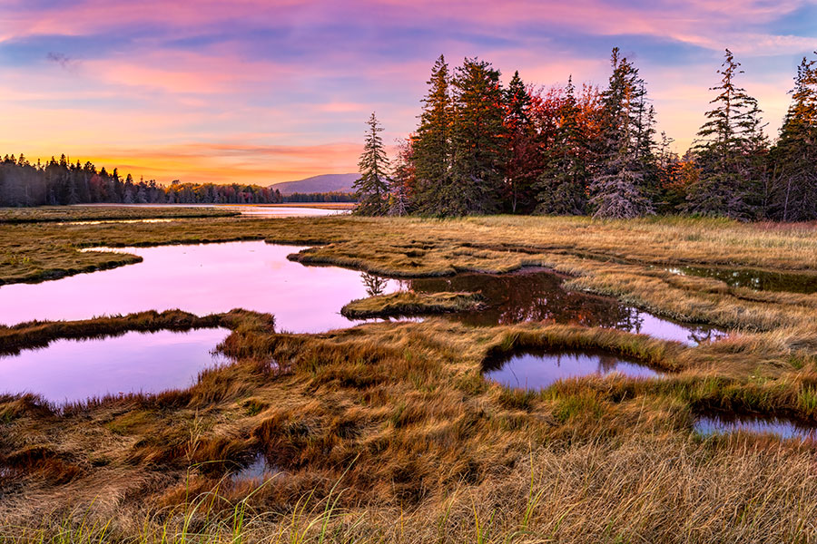 Autumn Wilderness