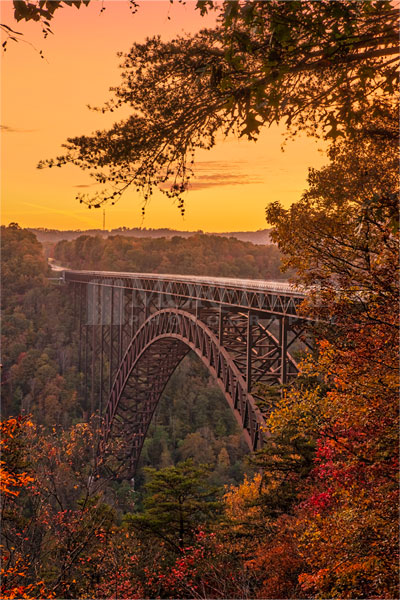 Golden Arch L