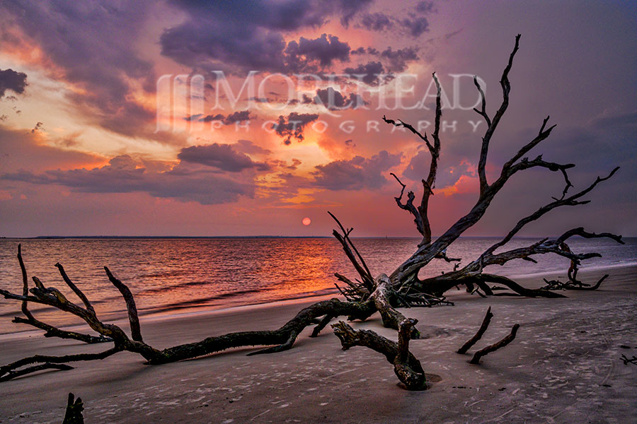 Dusk On St. Andrew’s Beach