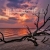 Dusk On St. Andrew’s Beach