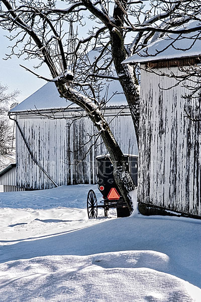 Amish Snow Buggy