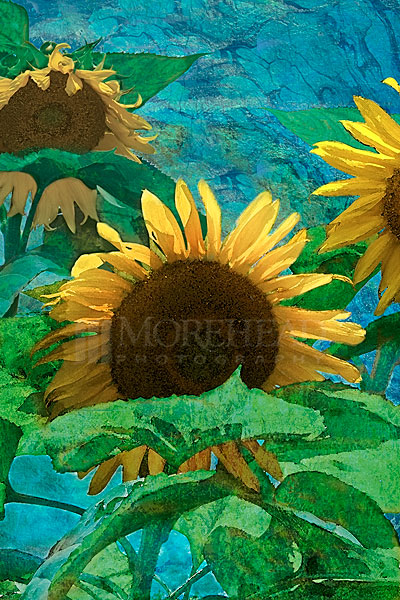 Mama‘s Sunflowers