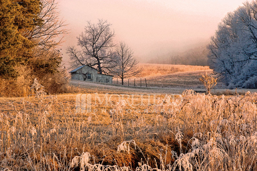 Mineral Wells Frost