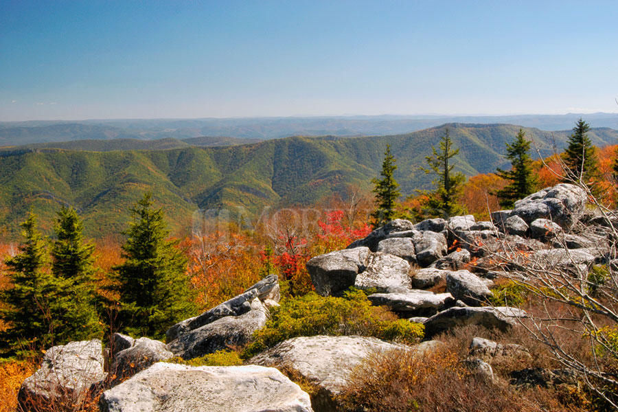 Mountain Overlook At Dolly Sods