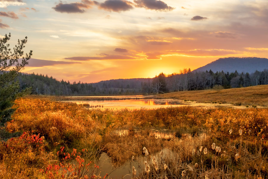 Canaan Wetlands Sunset